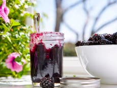 20 pledges for 2020: Picking blackberries just minutes away from the supermarket makes foraging even sweeter