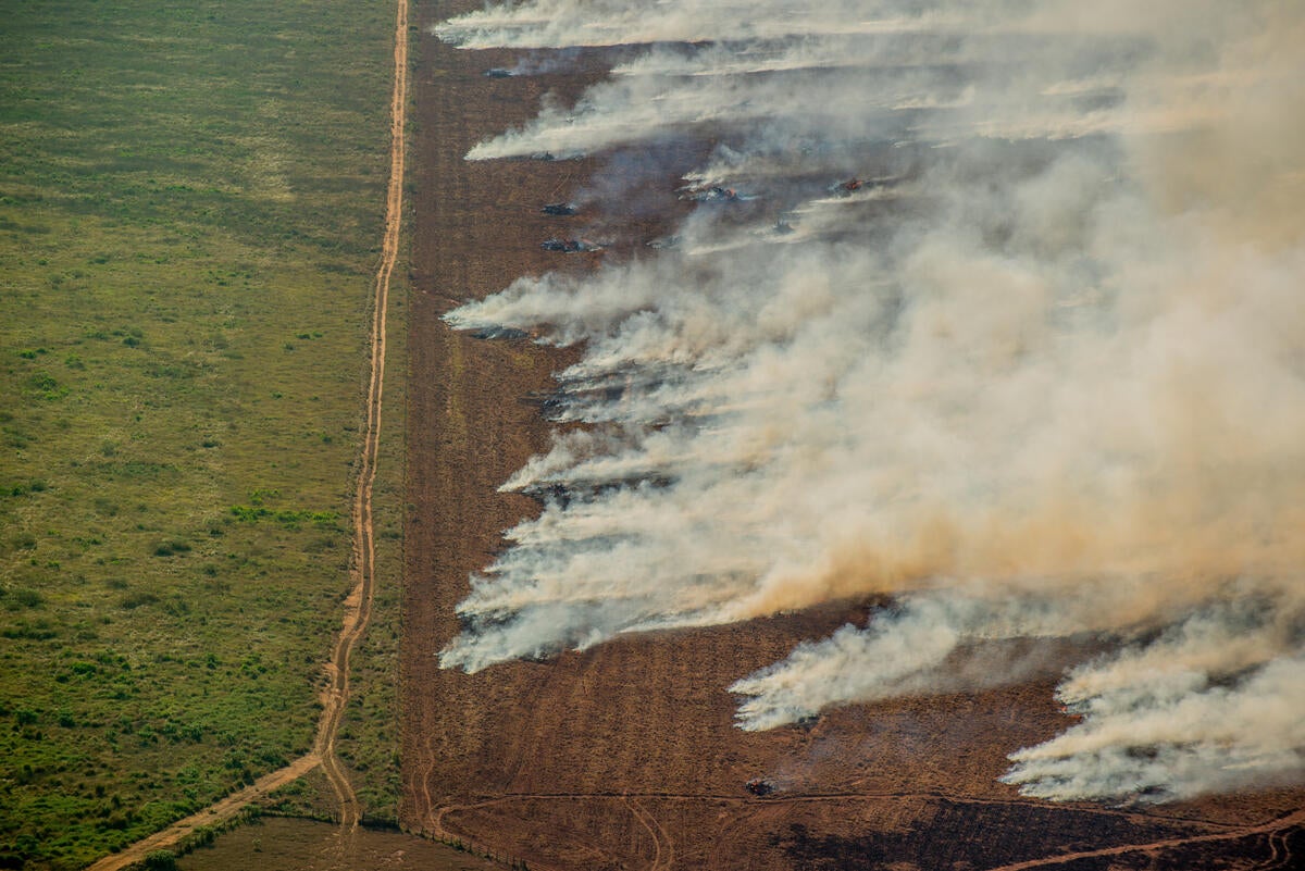 Hotspot next to a deforested area in Nova Maringá, Mato Grosso state