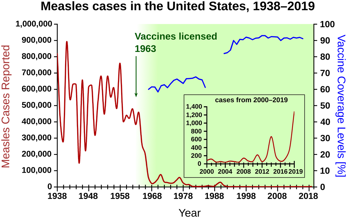 Vaccination coverage and measles cases in the USA