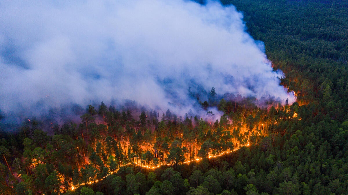 Greenpeace said the fires they documented were 'clear evidence of a climate emergency', and warned the Siberian landscape is being transformed by heat and fire