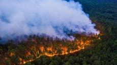 Summer 2020 Arctic wildfires break carbon emissions records