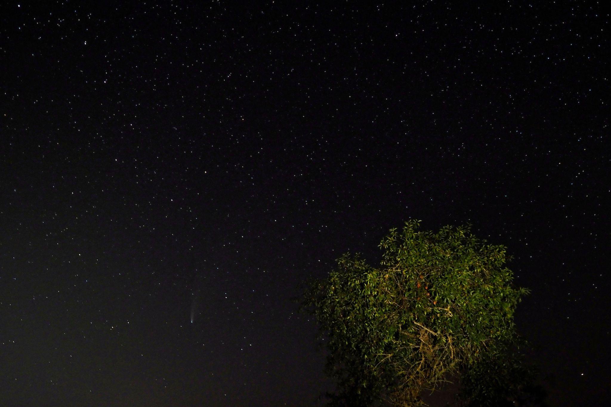 This long-exposure picture taken late on July 20, 2020, shows a view of the Comet NEOWISE (C/2020 F3) in the sky near Chinon, central France