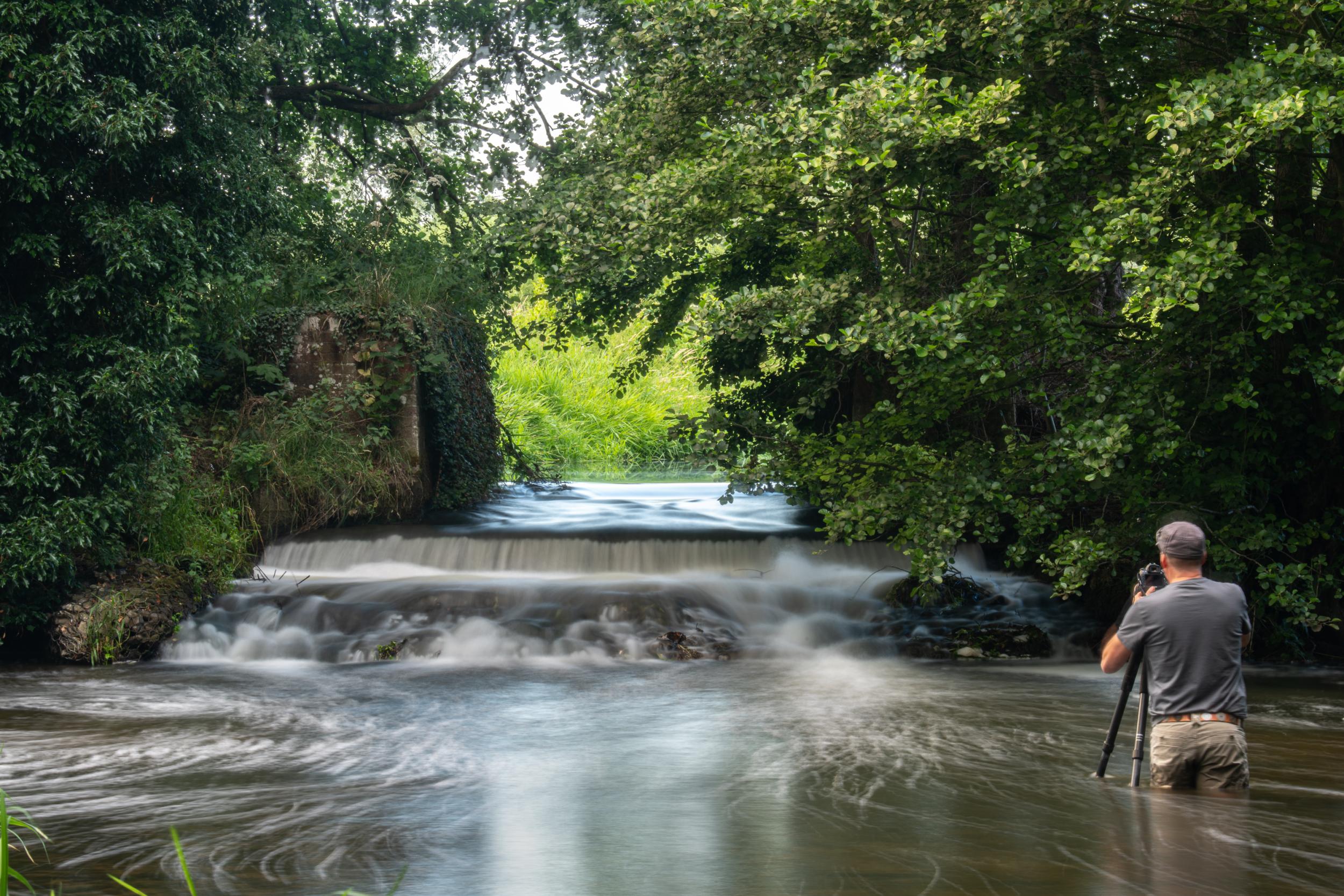 Splashing out: photographic safaris in Norfolk can yield surprising results