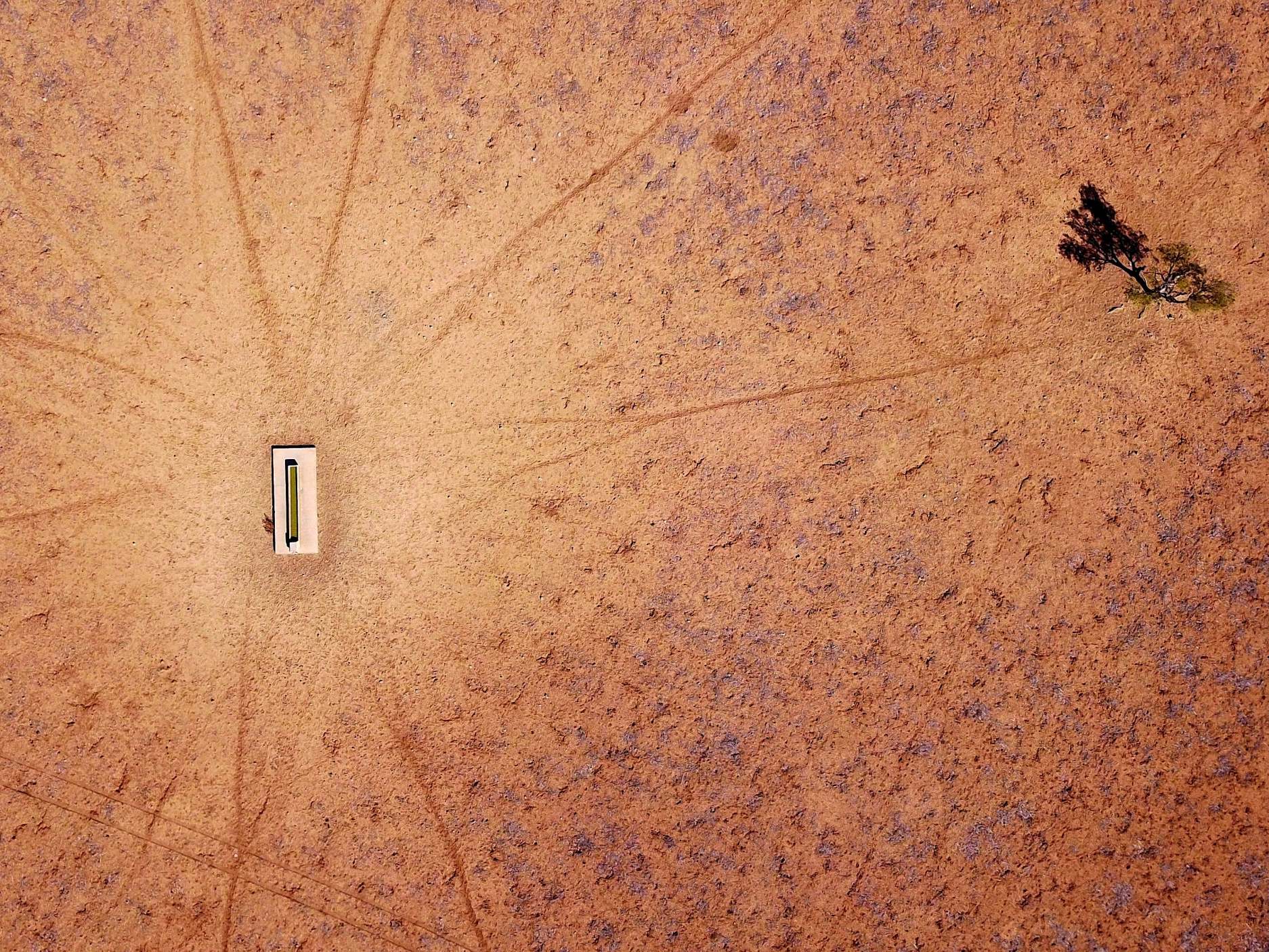 A lone tree stands near a water trough in a drought-affected paddock in New South Wales, Australia