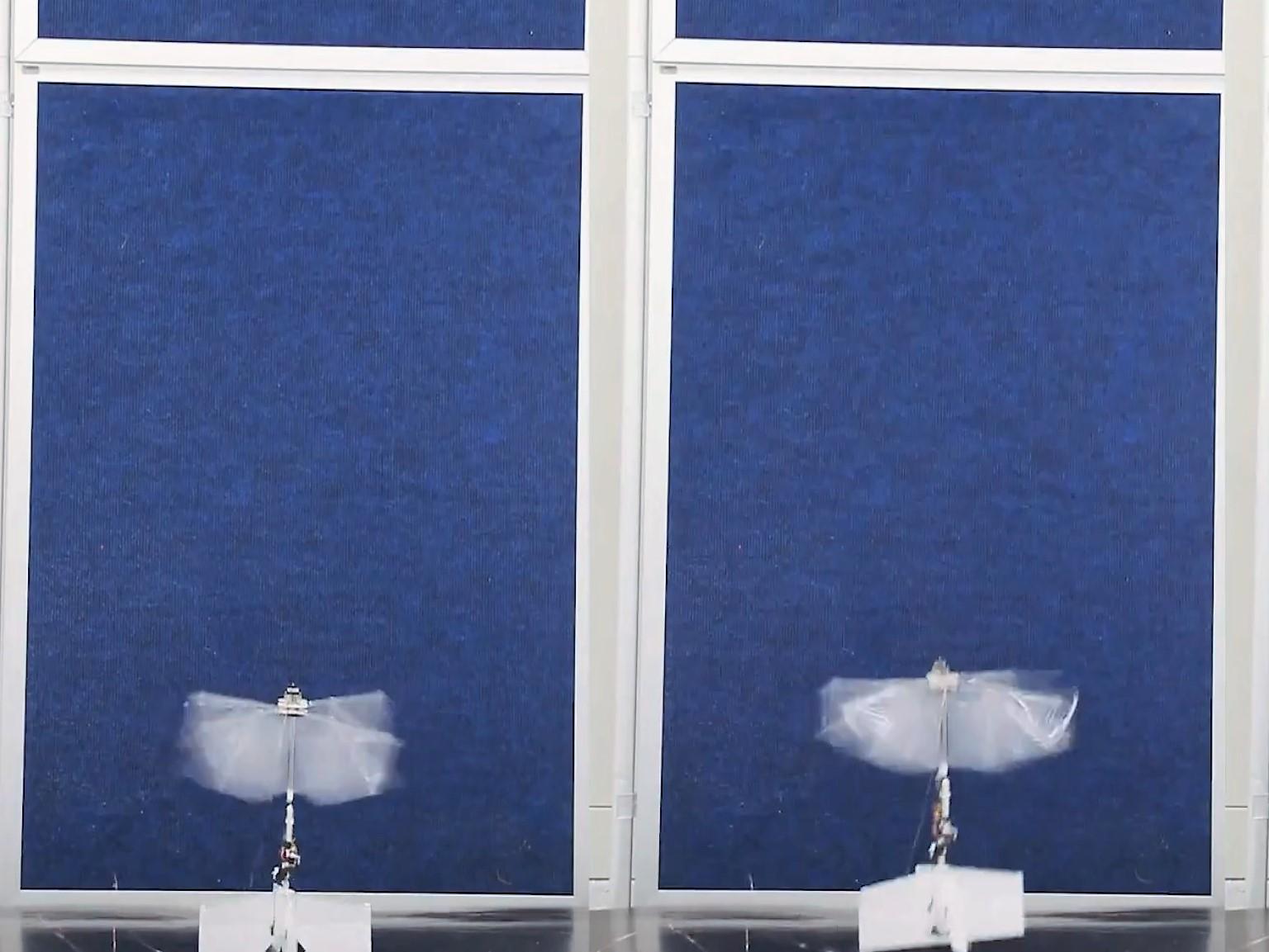 The robotic drone is inspired by the world's fastest bird.