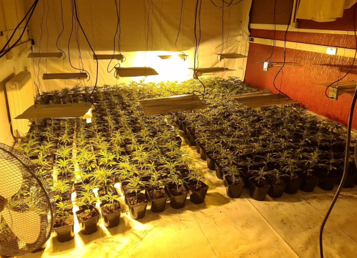 Police say the farm covered multiple room in the building in Oldham