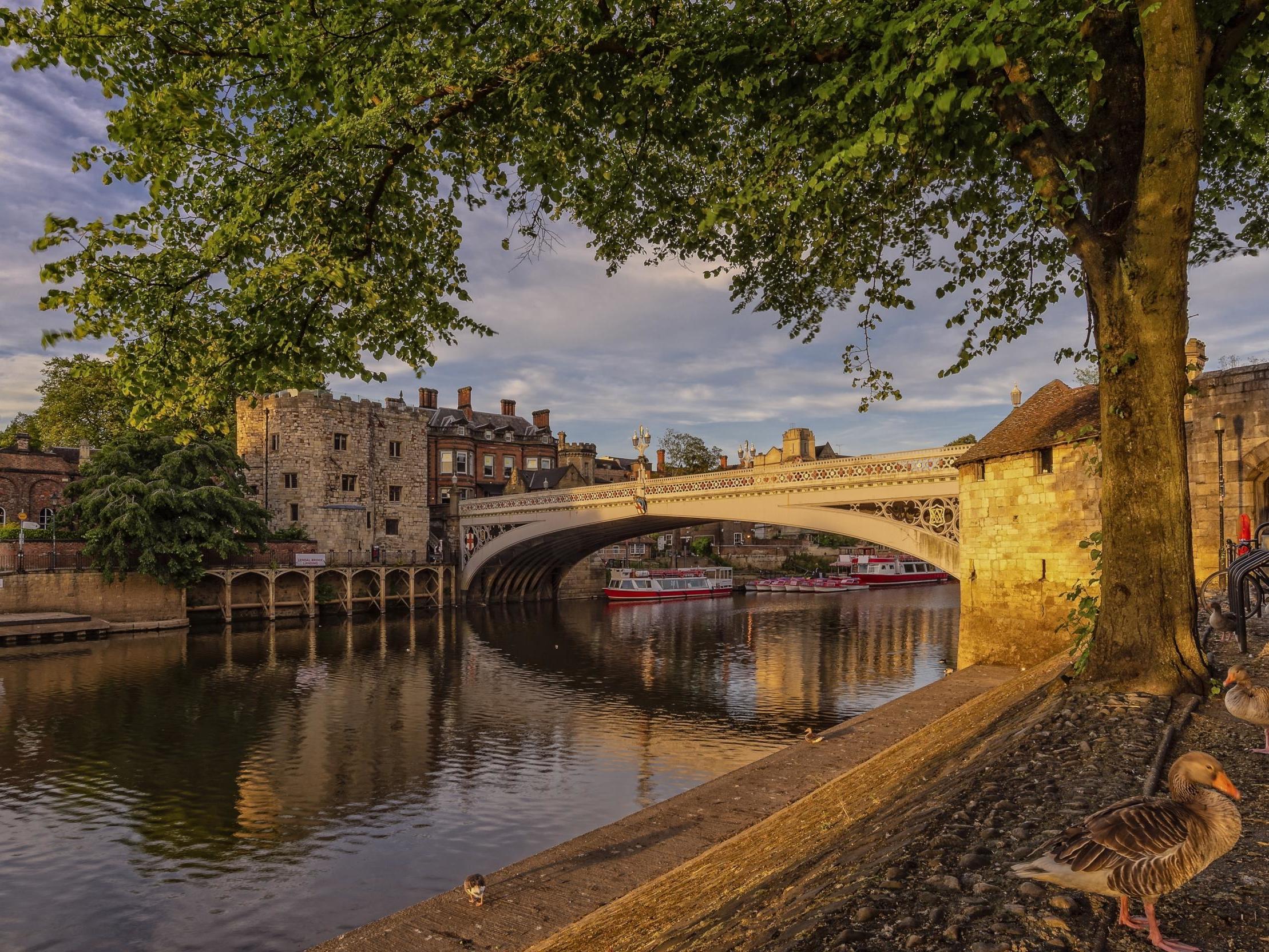 York topped the categories for people who shop in zero-plastic supermarkets and those who grow fruit and vegetables at home