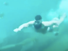 Man filmed diving into aquarium prompts police investigation