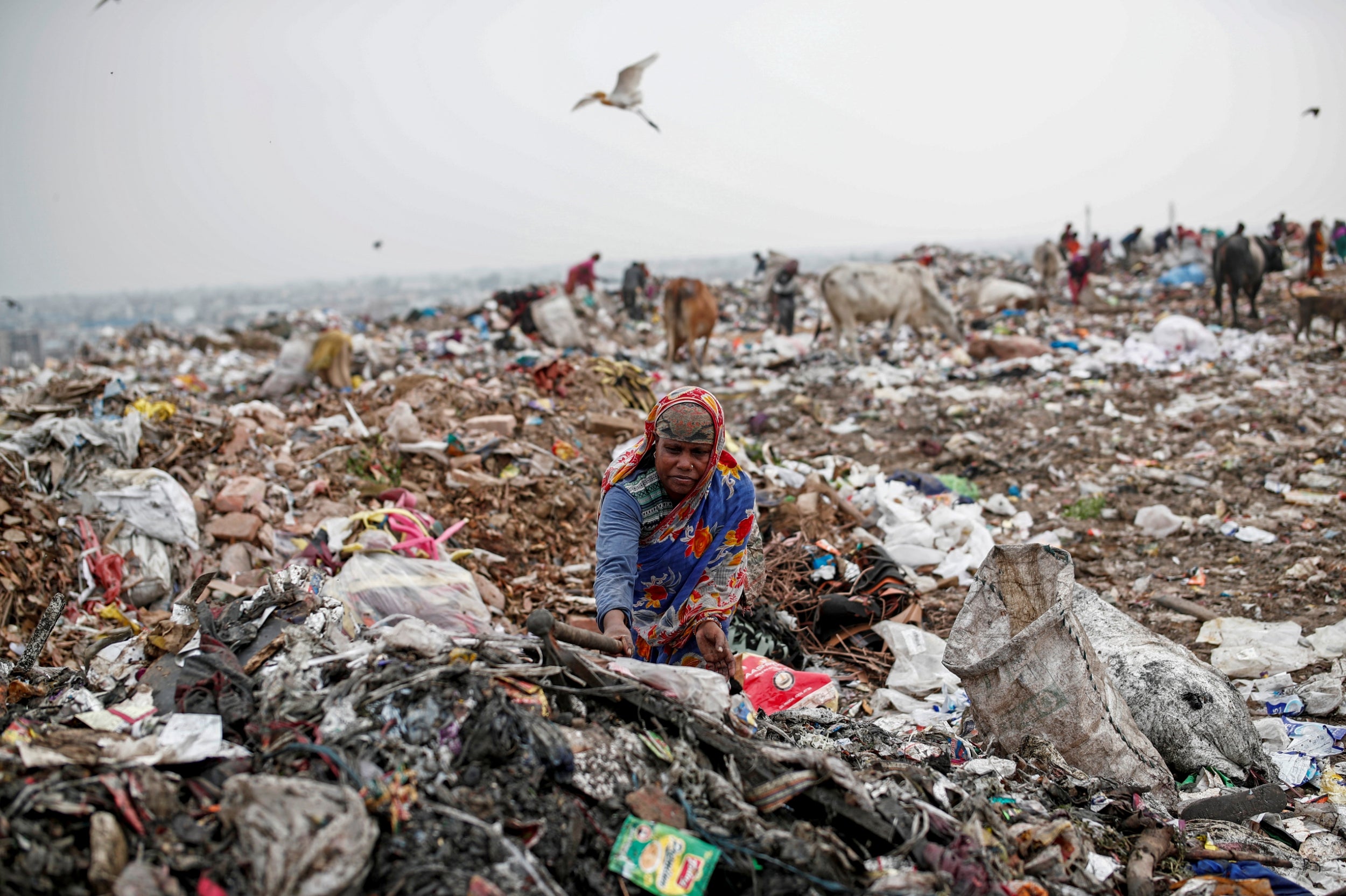 Bibi hunts for recyclable materials (Reuters)