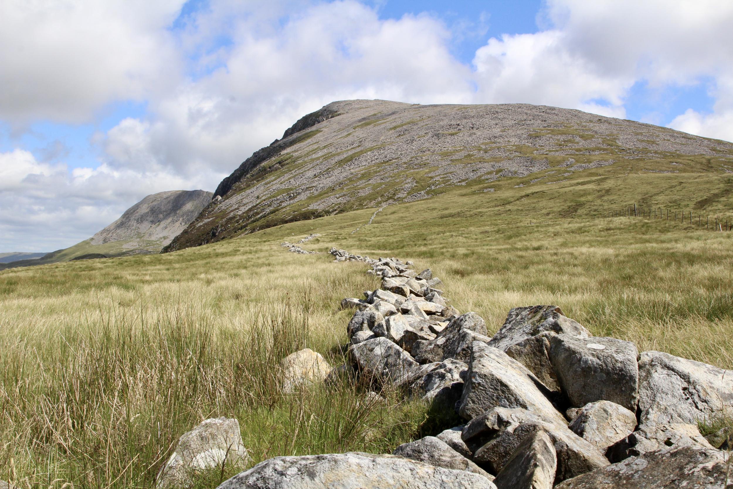 The Panorama Walk takes in grazing fields