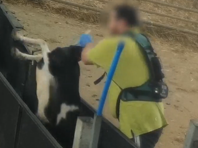 Joaquin Phoenix pleads for goats at disgraced Far Marsh farm to be rescued