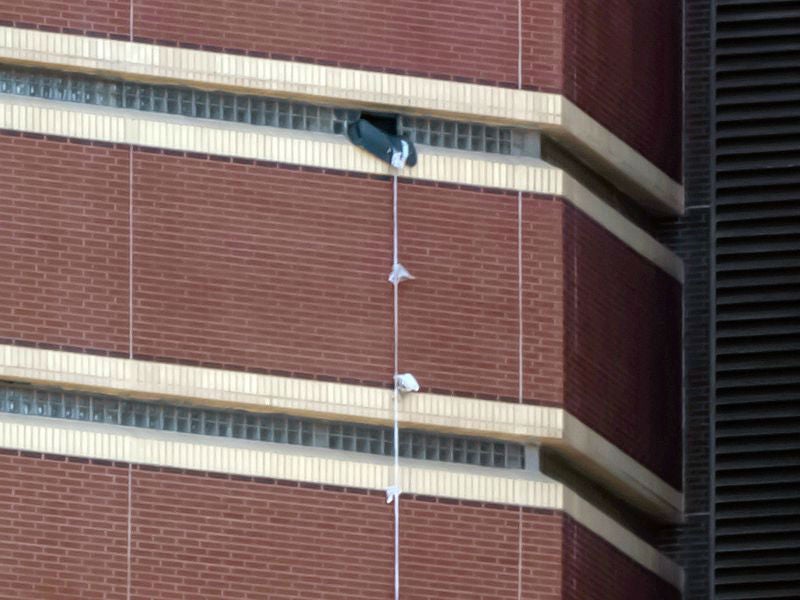 The men threw out a mattress from the window to help them