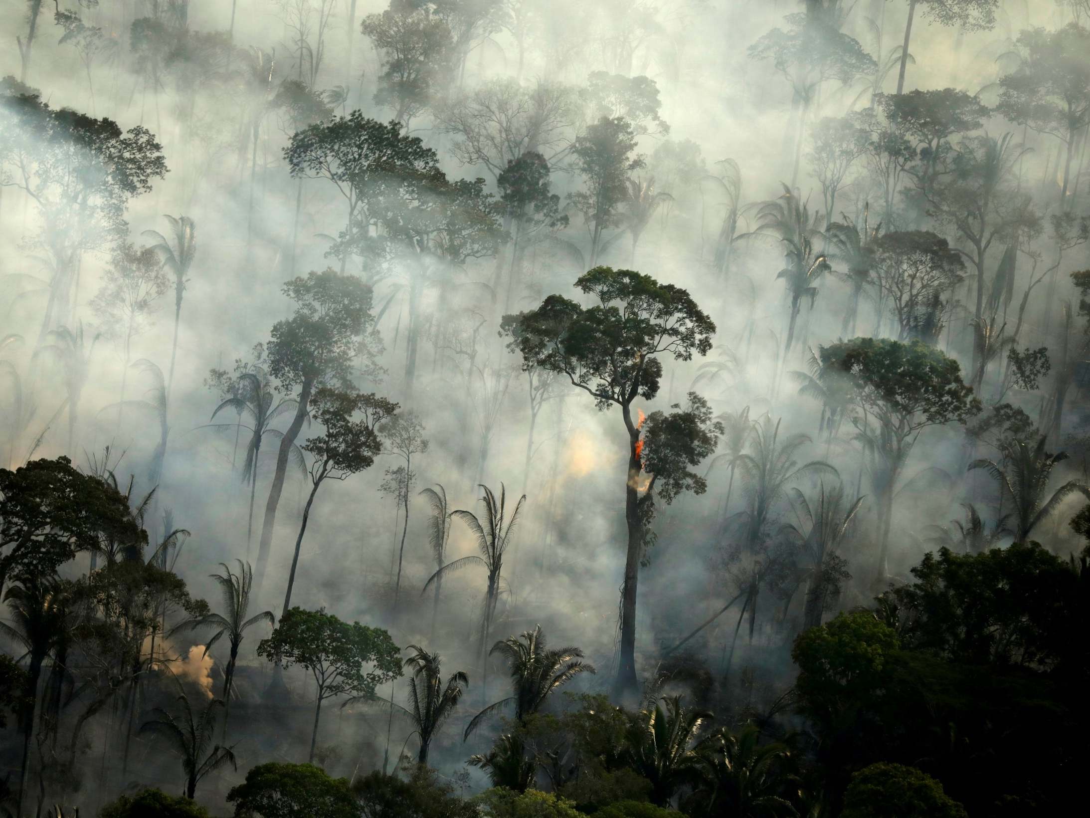 Smoke billows from a fire in an area of the Amazon rainforest near Porto Velho, Rondonia State, Brazil