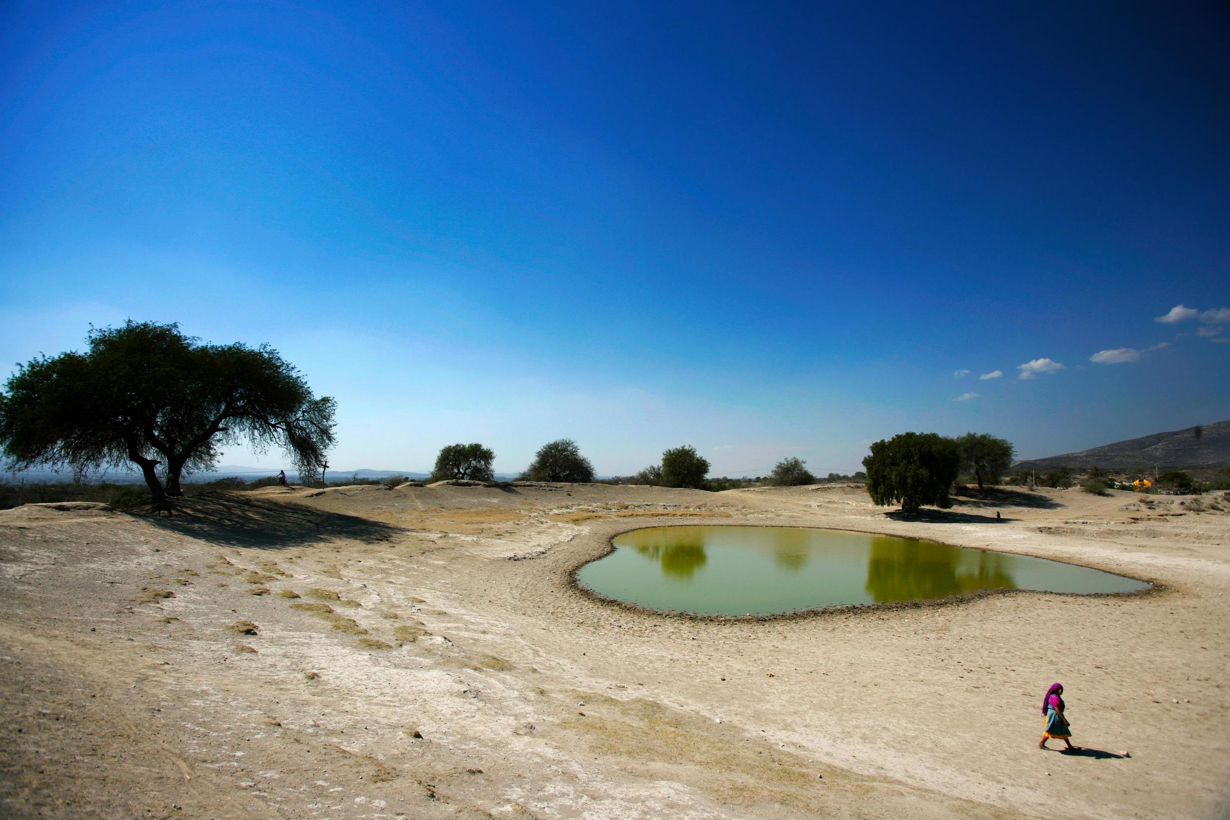 Droughts could become the new normal as global warming gets worse (Getty)