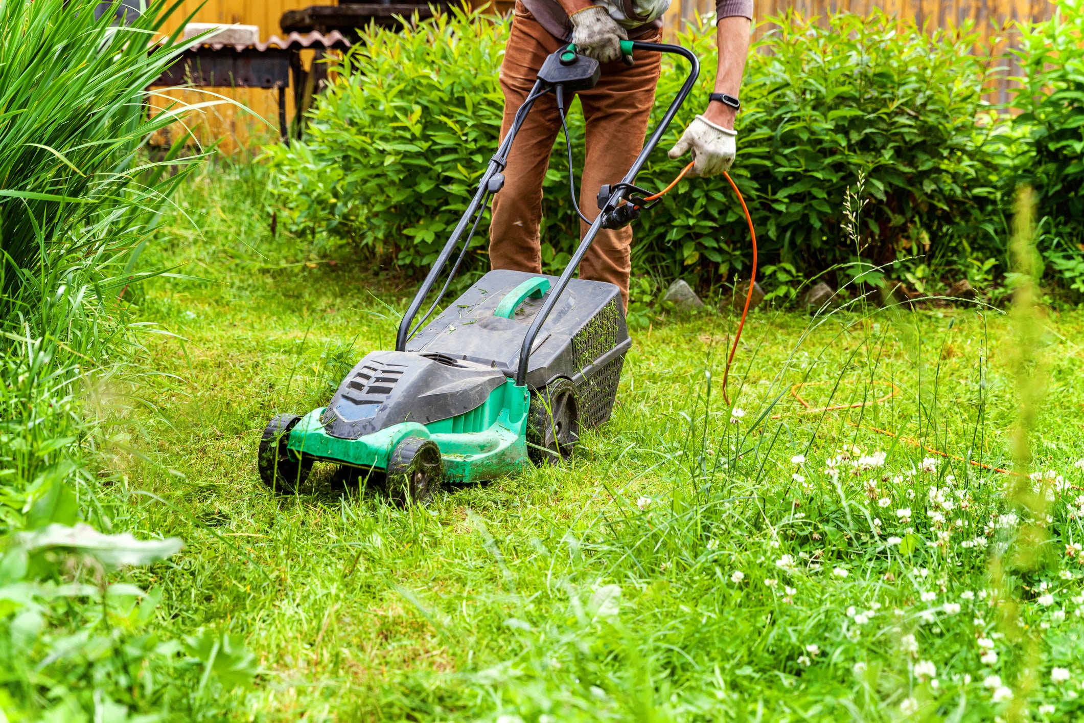 Gardening was one of the most popular professions among those surveyed