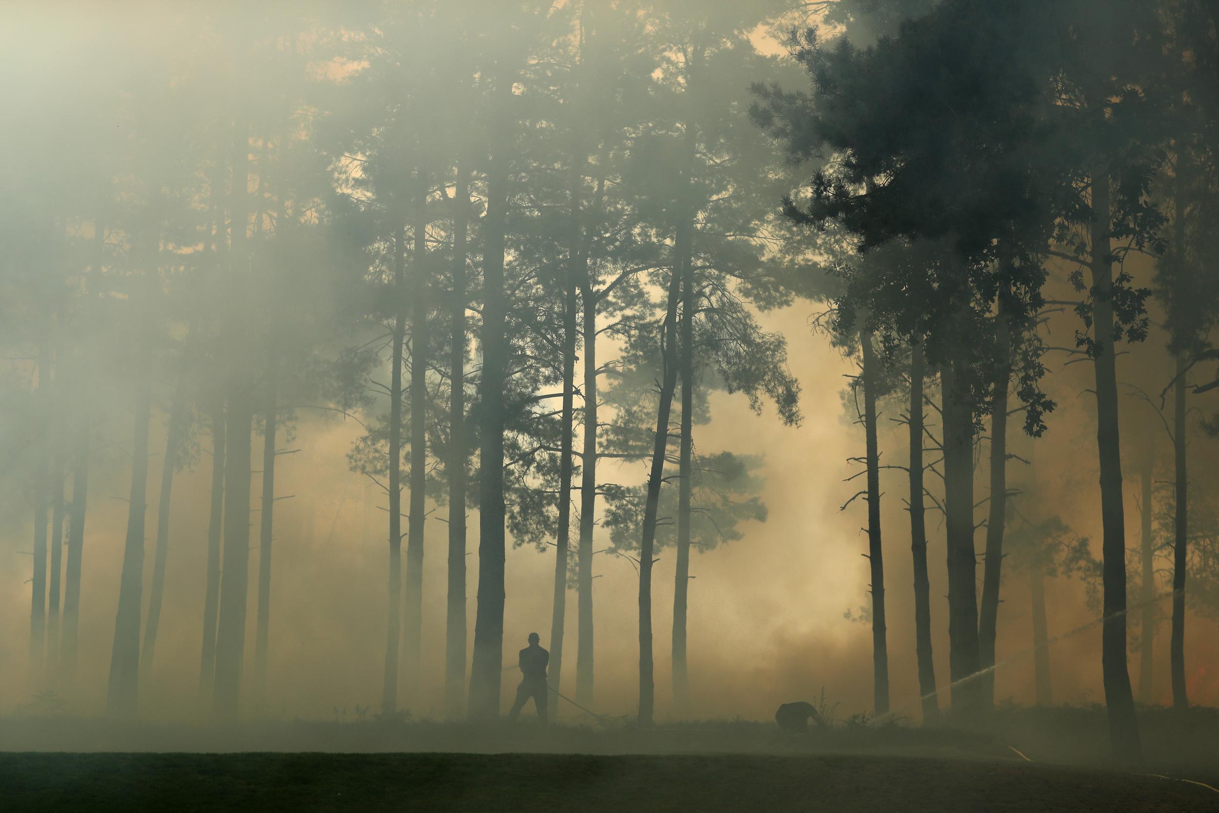 Emergency services arrived to stop the blaze from spreading