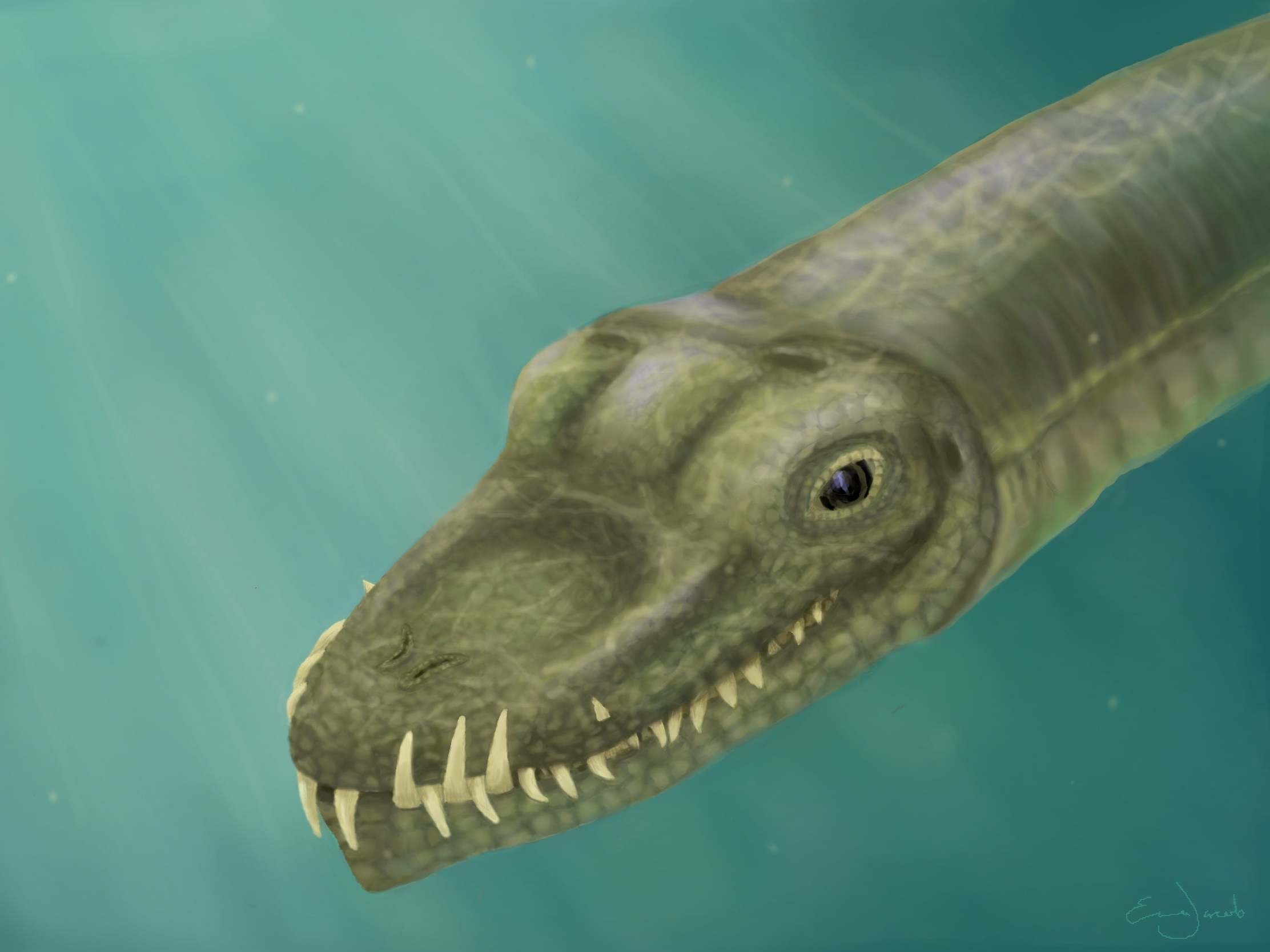 The creature was described as 'a stubby crocodile with a very, very long neck'