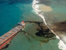 Mauritius scrambles to save pristine beaches and coral reefs from cata