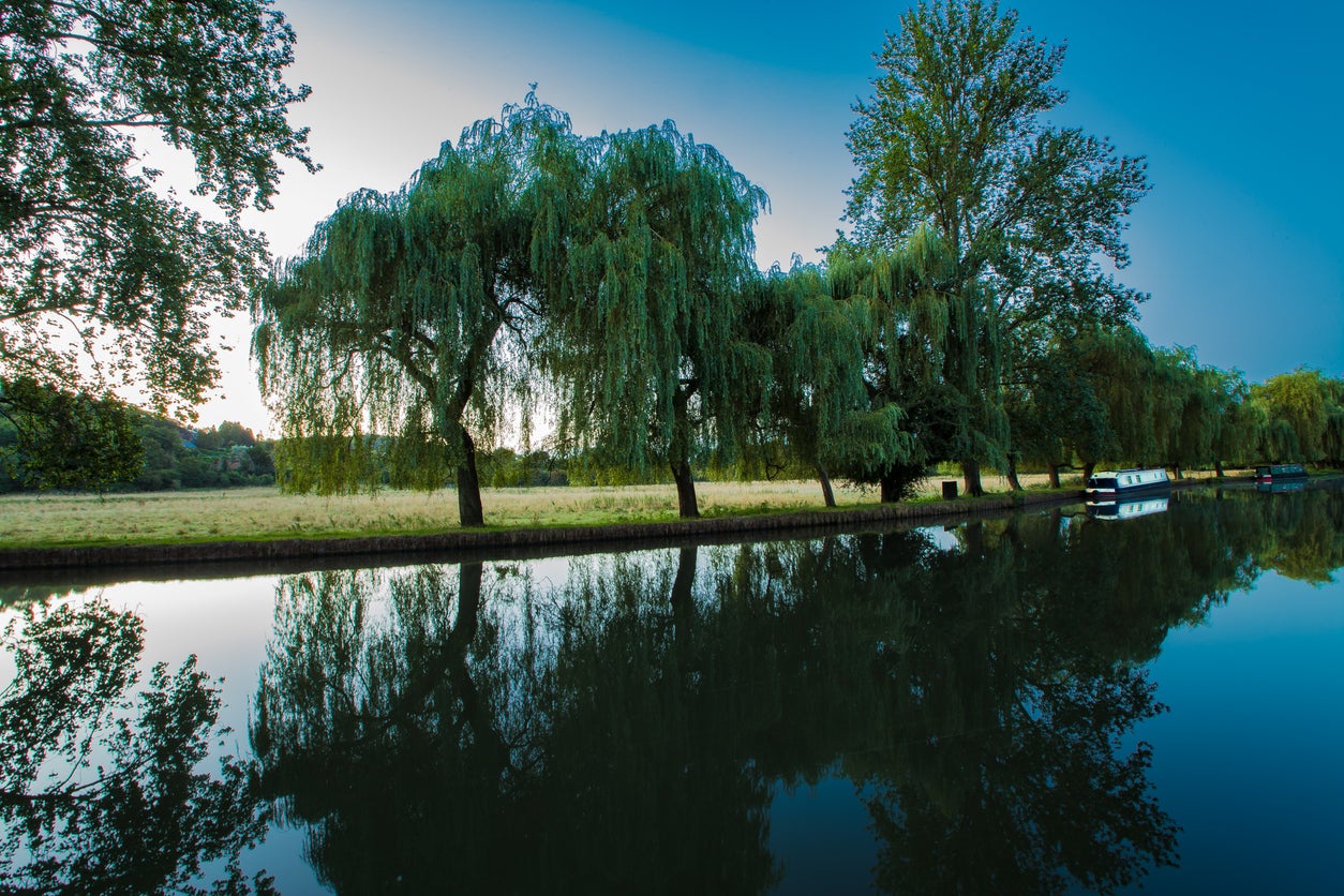 Take a dip just outside of town in Guildford