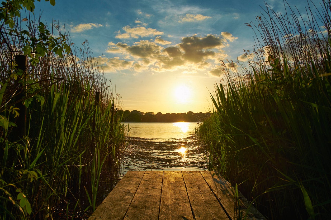 Frensham Great Pond has all the trappings of the seaside without the maddening crowd