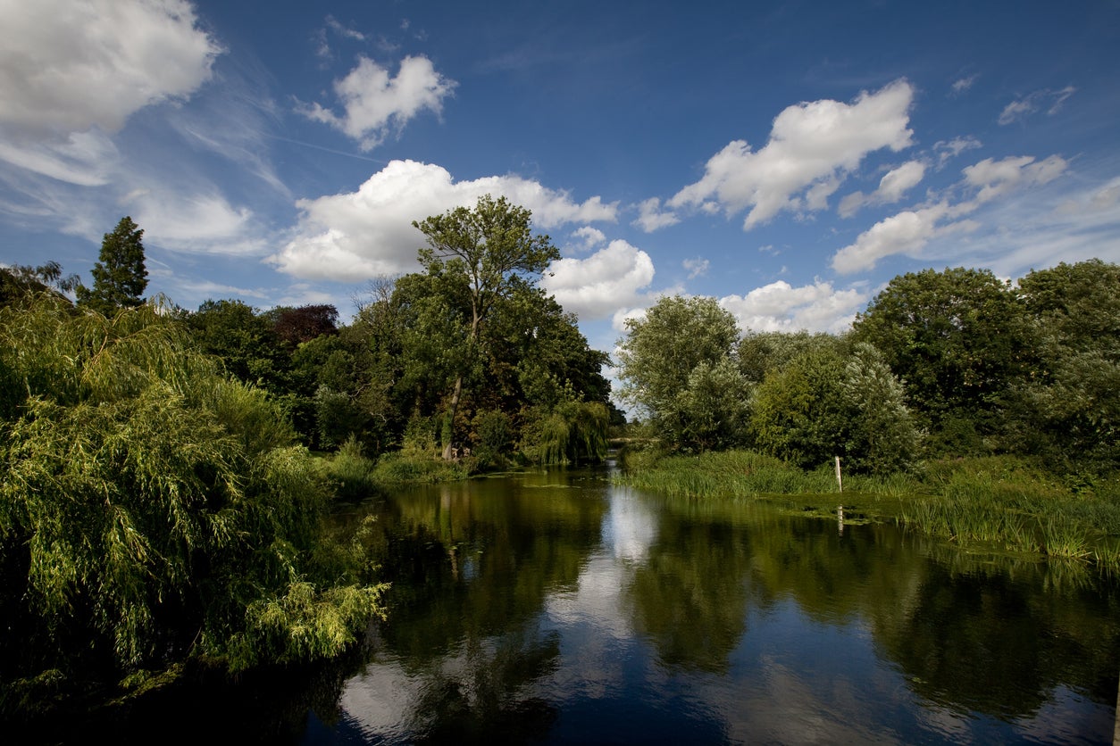 Grantchester Meadows gets busy on a hot day but there's still plenty of room to stretch out