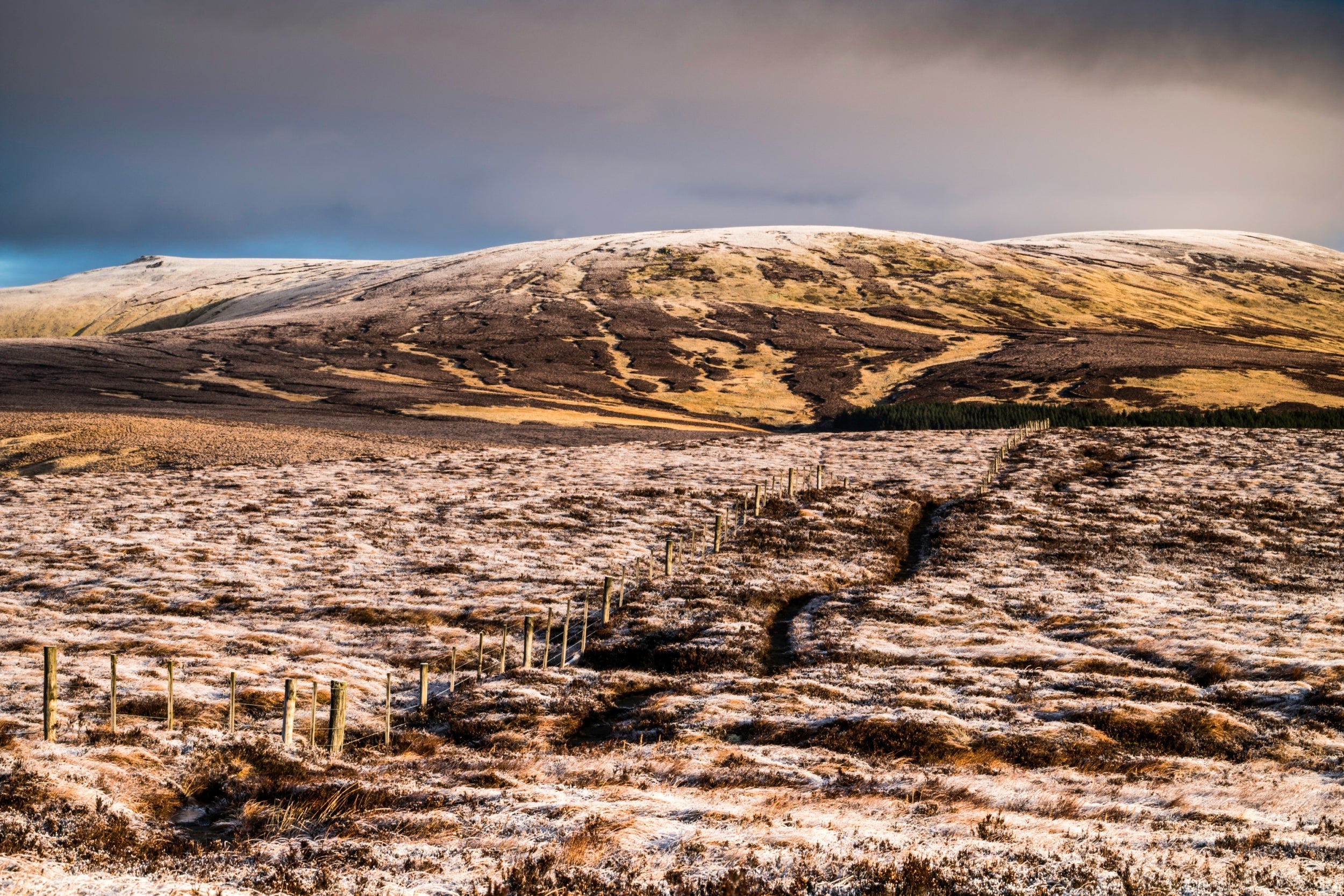 Peatlands near the Scottish border in Alwinton, Northumberland