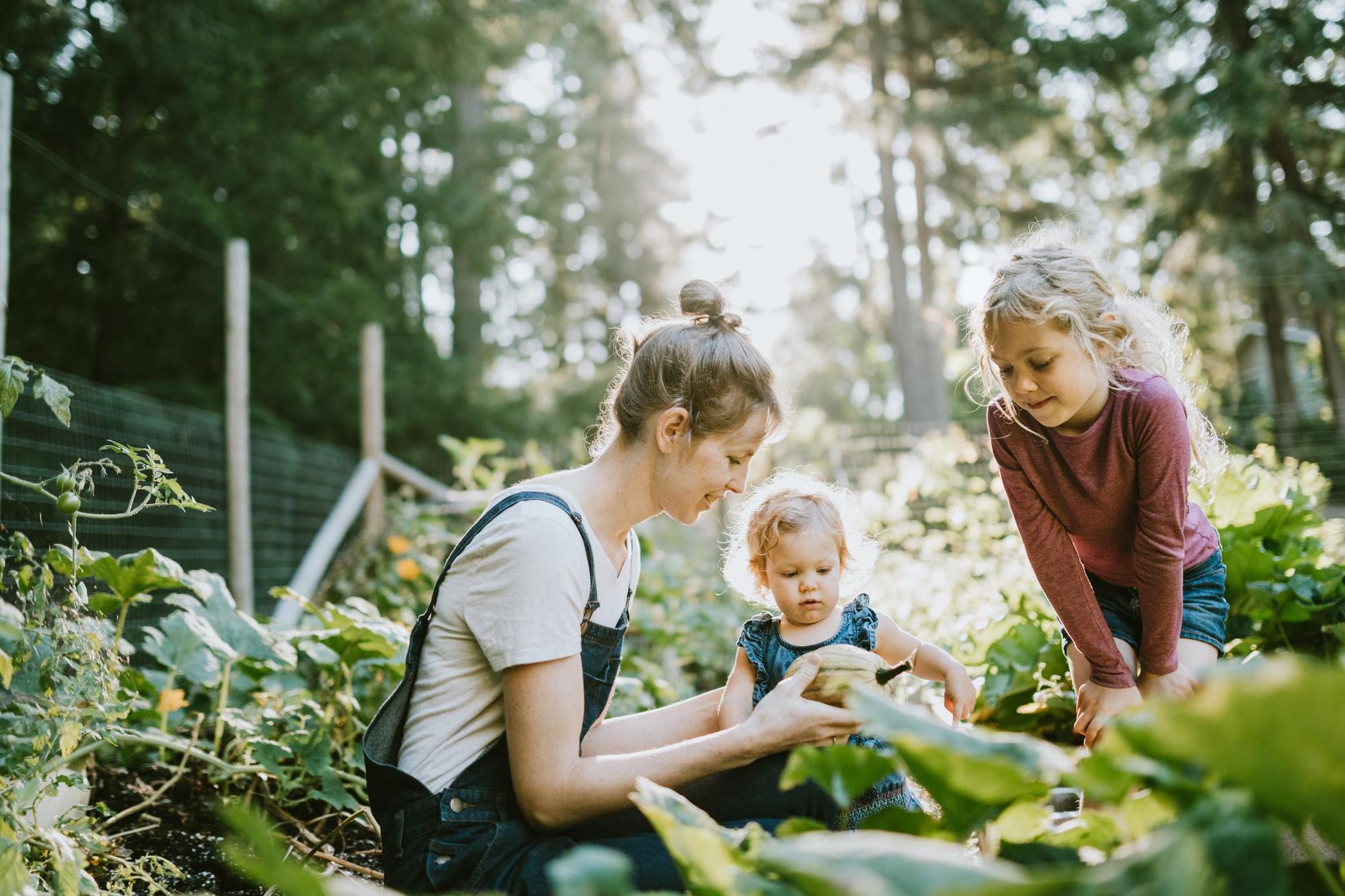 Growing vegetables in a family garden could be a solution (Getty)