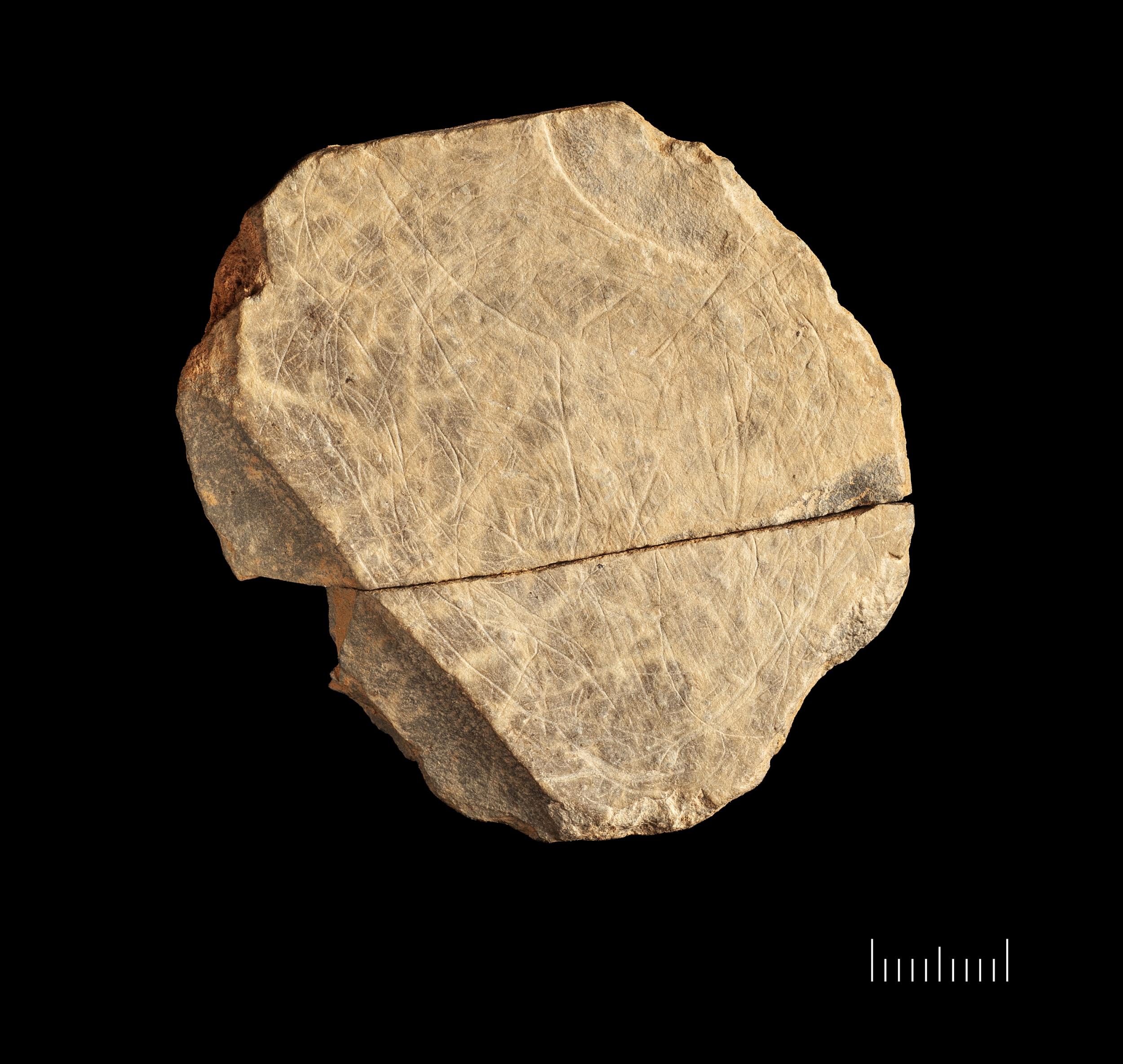 The most complete Stone Age plaque, found at the Jersey site