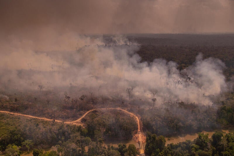 Fires stretch across vast swathes of the Amazon, filling the air with acrid smoke