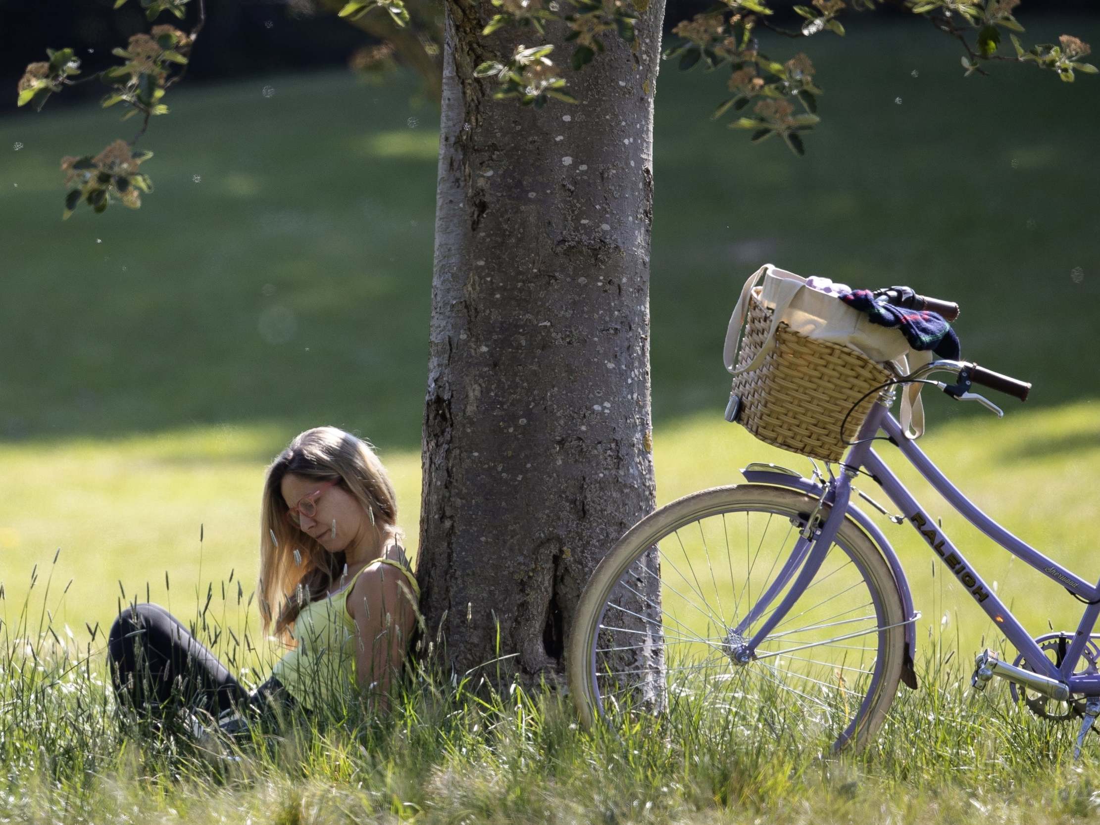 Researchers will pay people to laze around