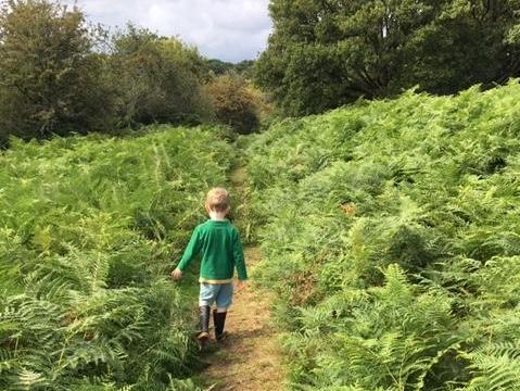 Tristan heads out through the bracken to look for blackberries