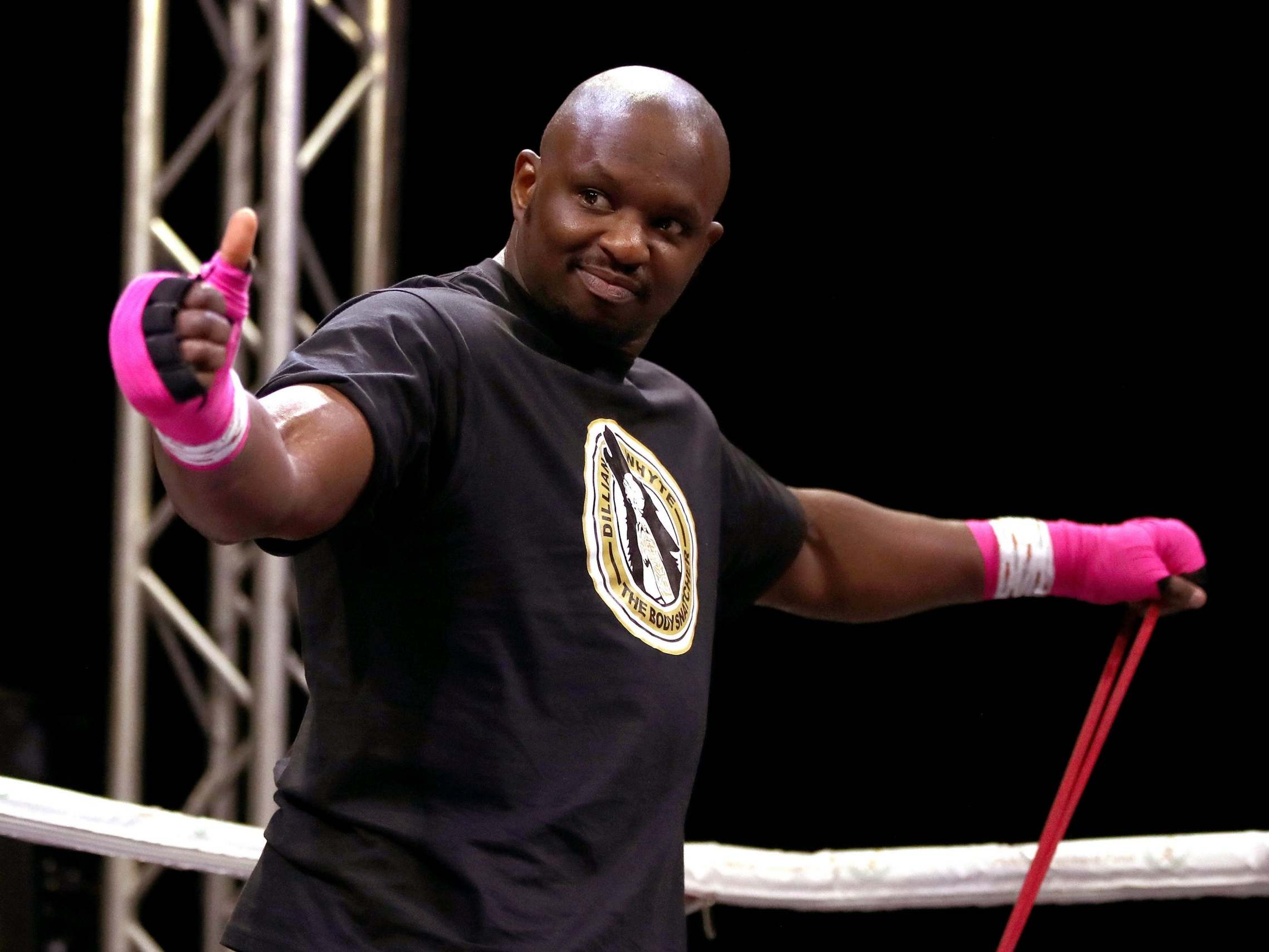 Dillian Whyte (pictured) has long called for an all-British clash with Tyson Fury