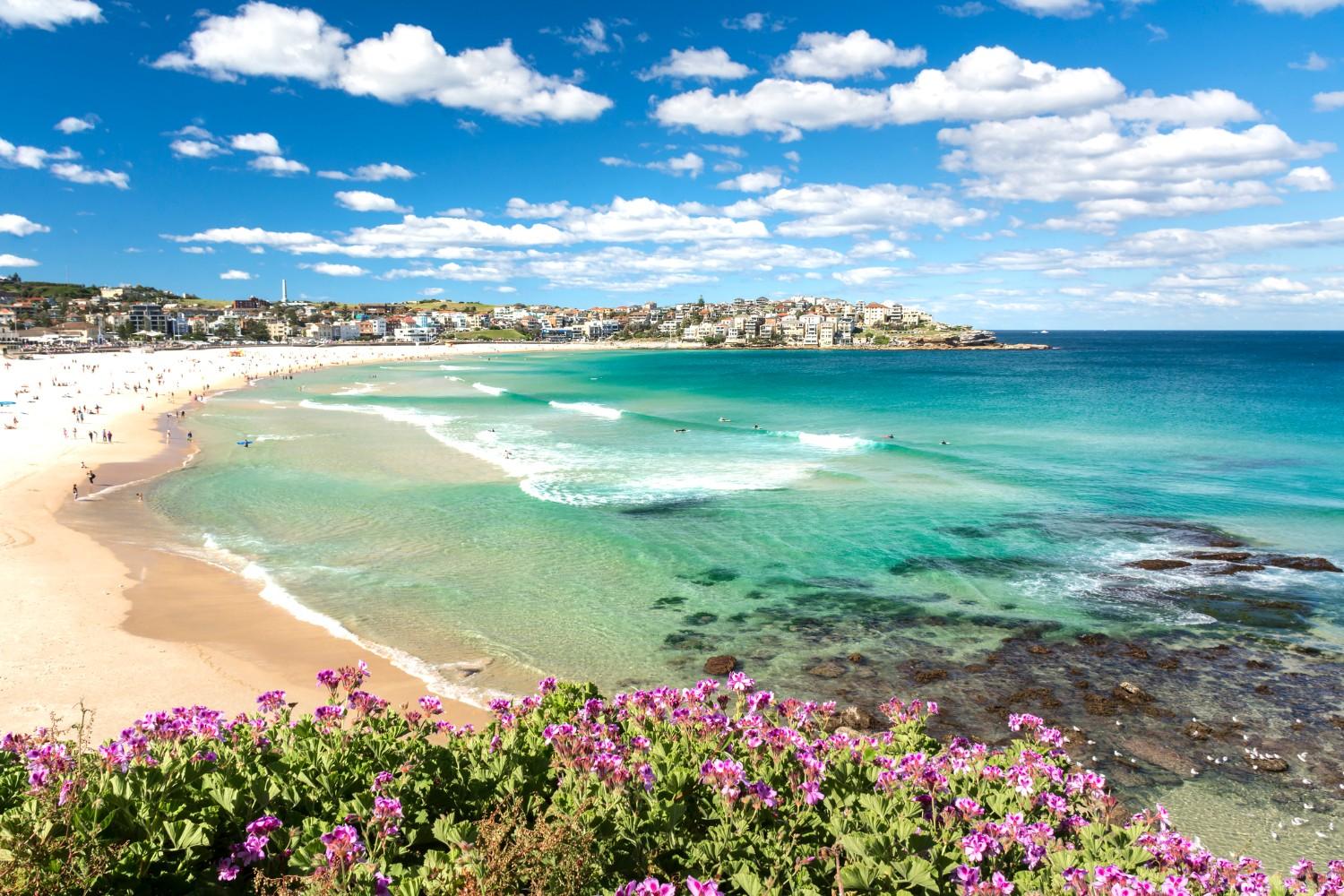 Bondi Beach at the height of summer