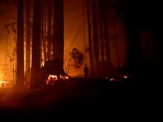 Firefighters tell California residents dubbed the 'Boulder Creek Boys' to stop trying to put out wildfires themselves