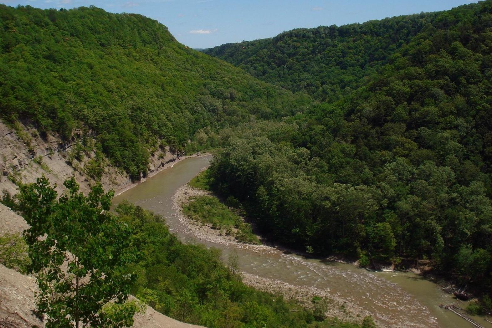 Teenager dies after falling in New York's Zoar Valley