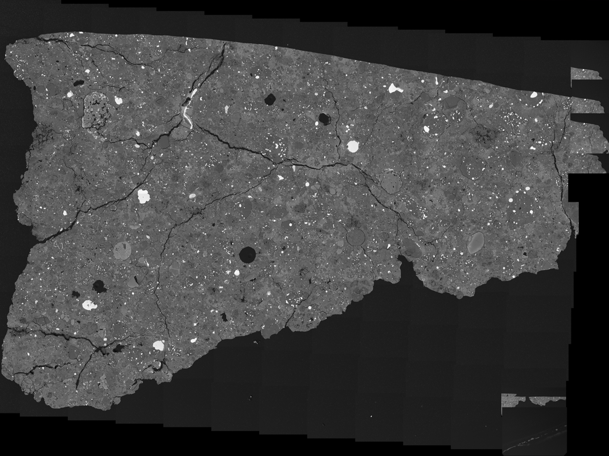 A polished thin section of Asuka 12236, made with a scanning electron microscope, about 1 centimetre across. Most of the bright grains are iron-nickel-metal or iron-sulfide. The grey is mostly silicate, with the darker grey areas more magnesium-rich, while the lighter grey areas are more iron-rich. The roundish objects contain metal grains called “chondrules,” which formed as molten droplets.