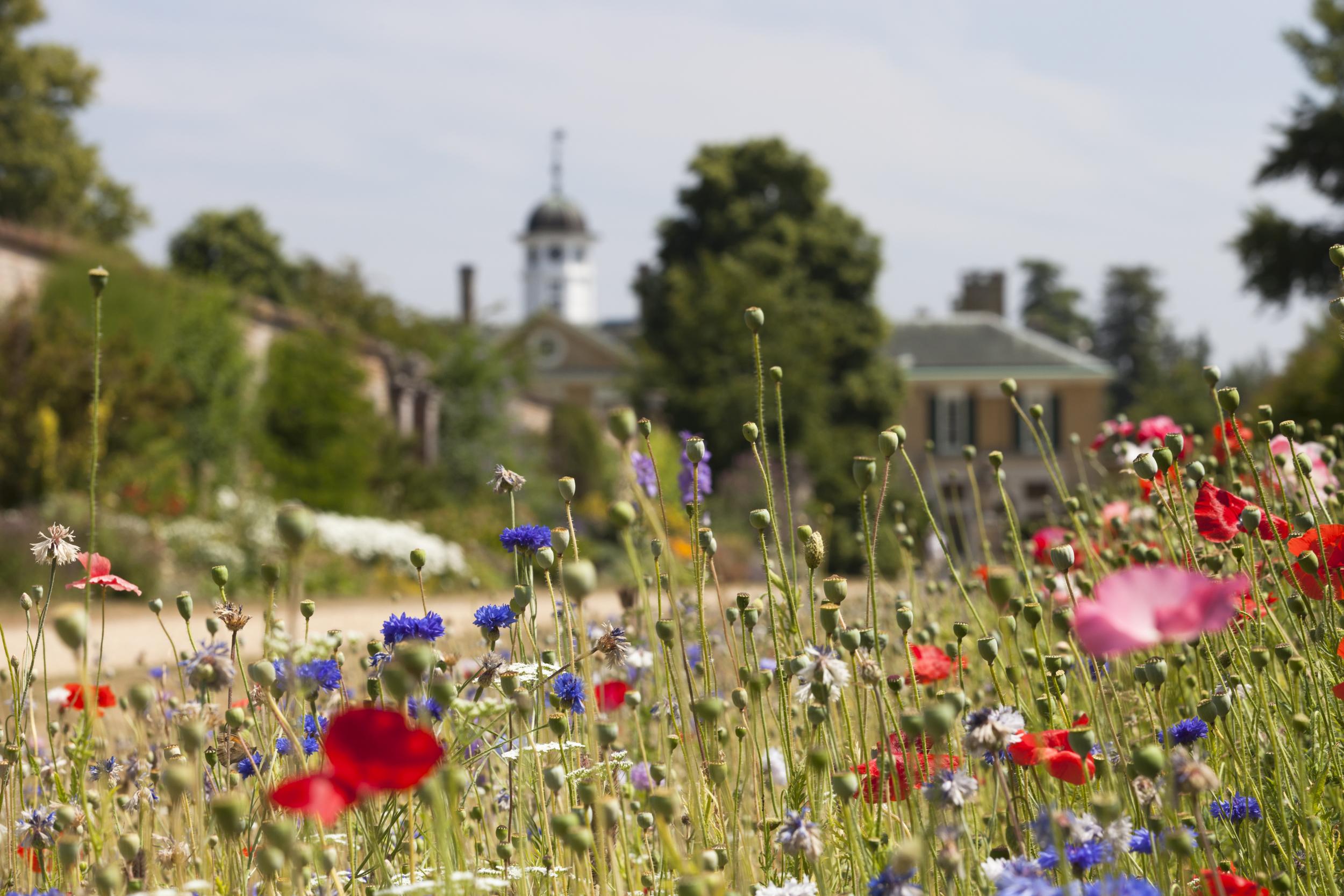 Polesden Lacey in Great Bookham