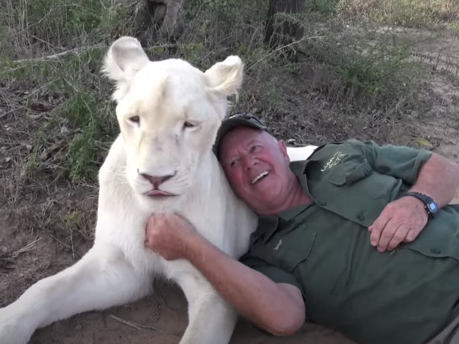 West Mathewson with one of his lions