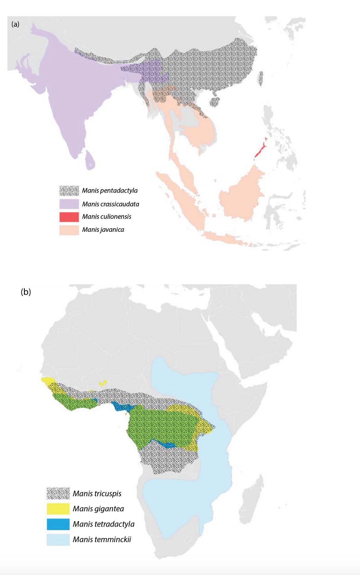 Pangolin distribution map TRAFFIC