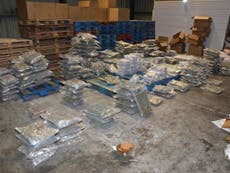 Police officers sniff out cannabis worth £4.5 million at warehouse