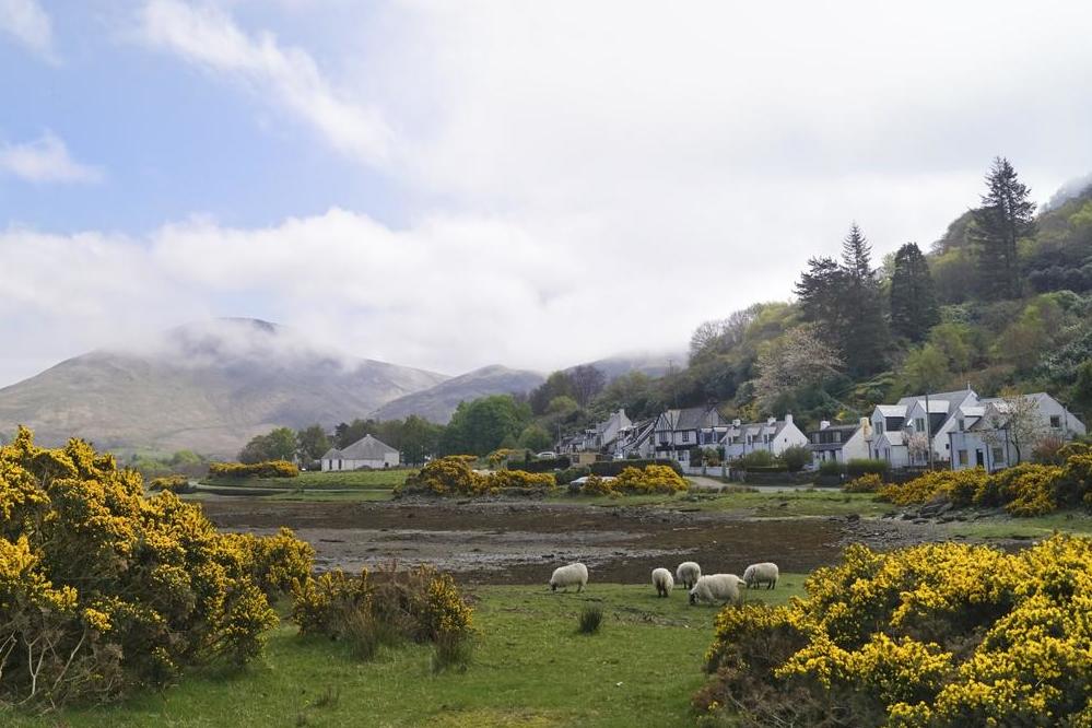 Lochranza bay on Arran at low tide