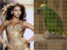 Lincolnshire parrot stuns wildlife park visitors by singing Beyoncé