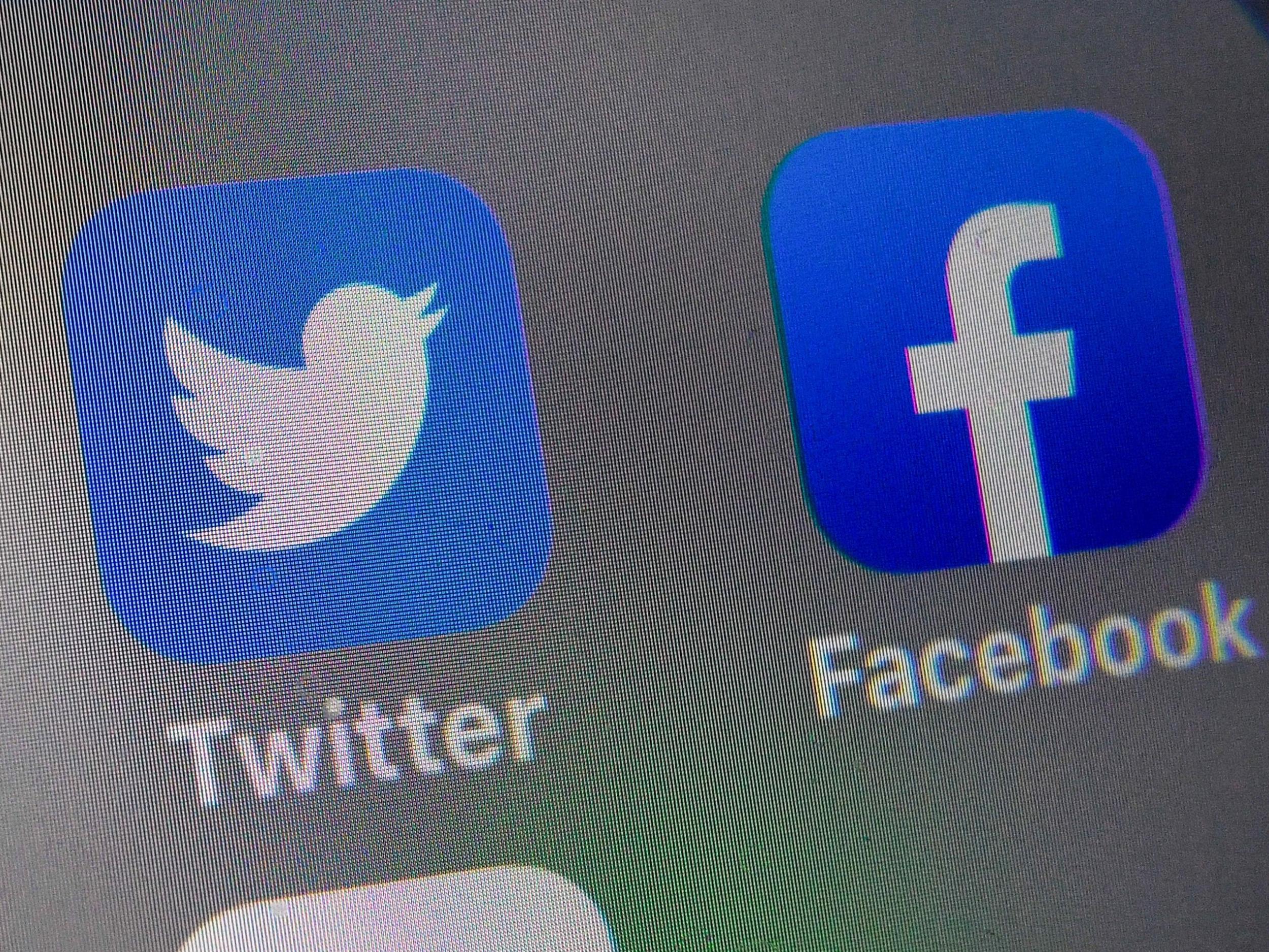 Facebook and Twitter have been plagued with disinformation campaigns targeting elections