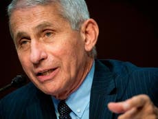 Dr Fauci dismisses idea of herd immunity for US, says infections must be prevented