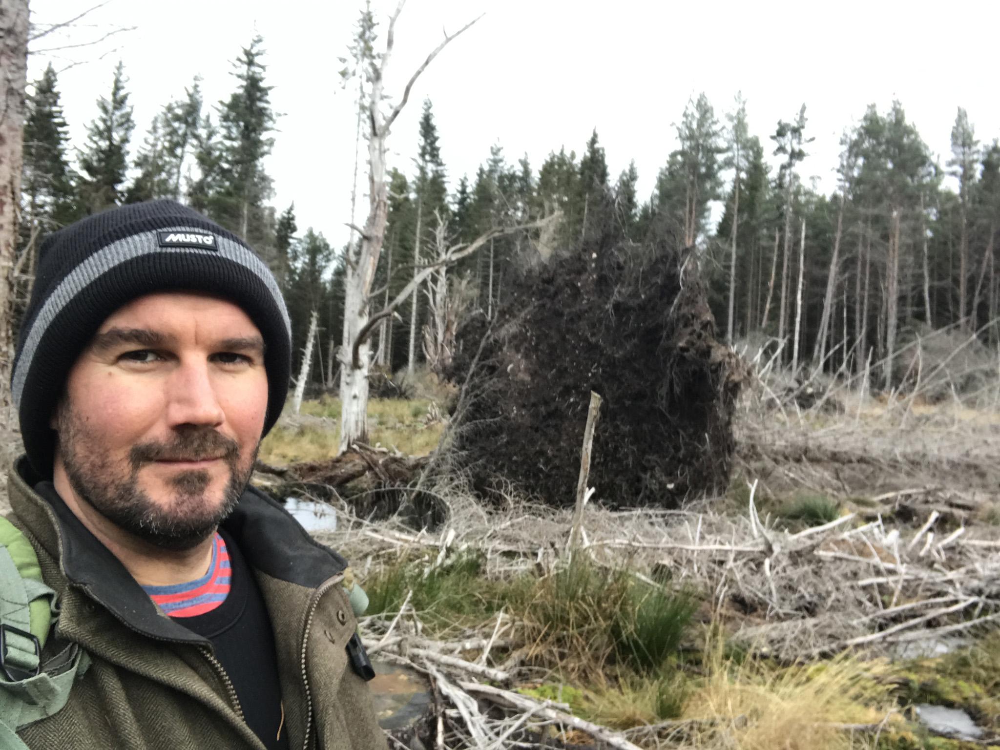 Gooley navigating a storm-felled tree in the Scottish Highlands