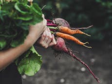 Could farming help solve the climate crisis?