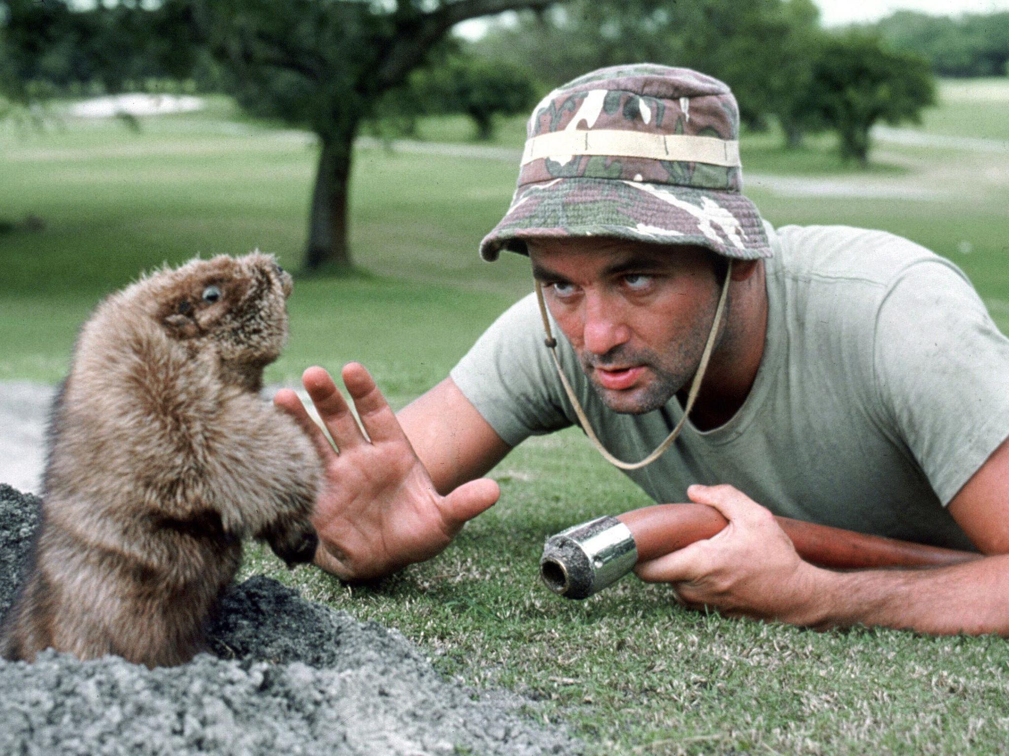 Morgan starred alongside Bill Murray in the classic comedy Caddyshack