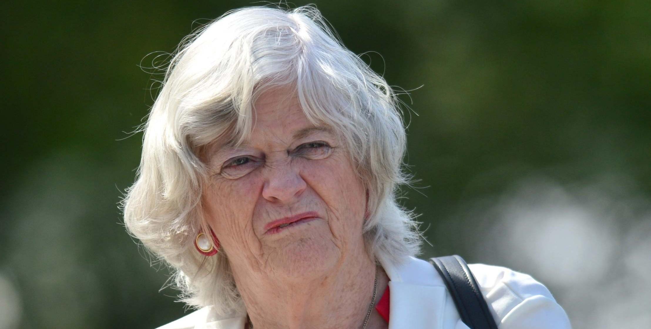 Don’t make cheese sandwiches if you can’t afford them, Ann Widdecombe tells struggling families