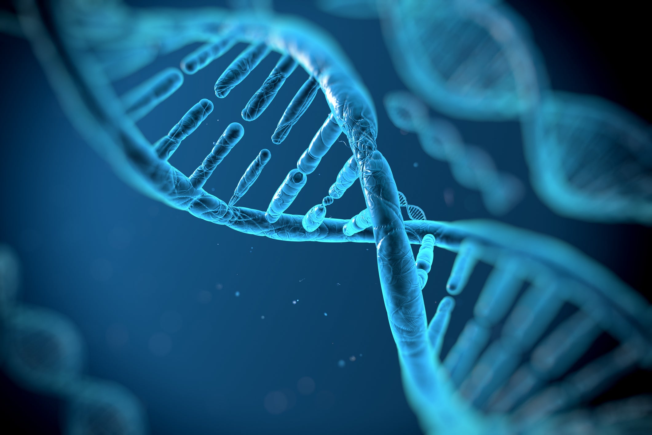 The DNA molecule. It is hoped the new data will help give a deeper understanding of how it influences risks of disease