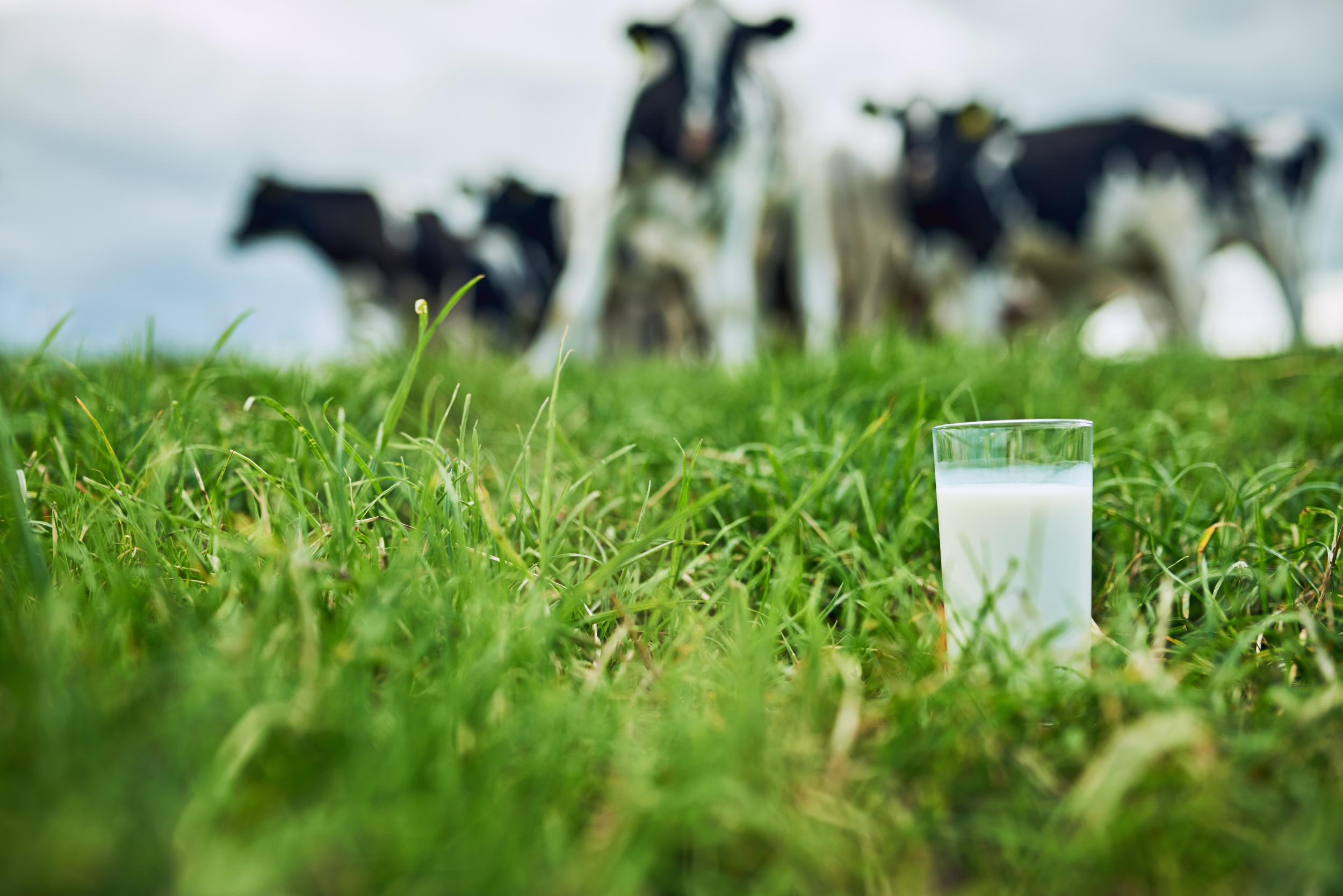 Findings have seen risk increased by a third in women who drink milk